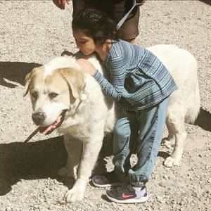 Meet your Posher, Kaisar